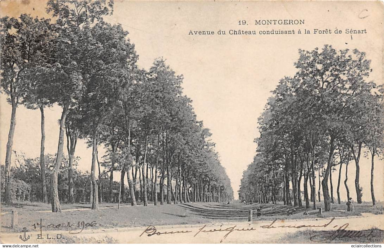 Montgeron          91          Avenue Du Château Conduisant à La Forêt De Sénart  N° 19         (voir Scan) - Montgeron