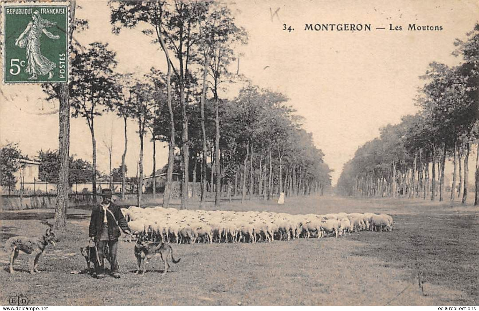Montgeron          91            Berger Et Ses Moutons     N°34      (voir Scan) - Montgeron