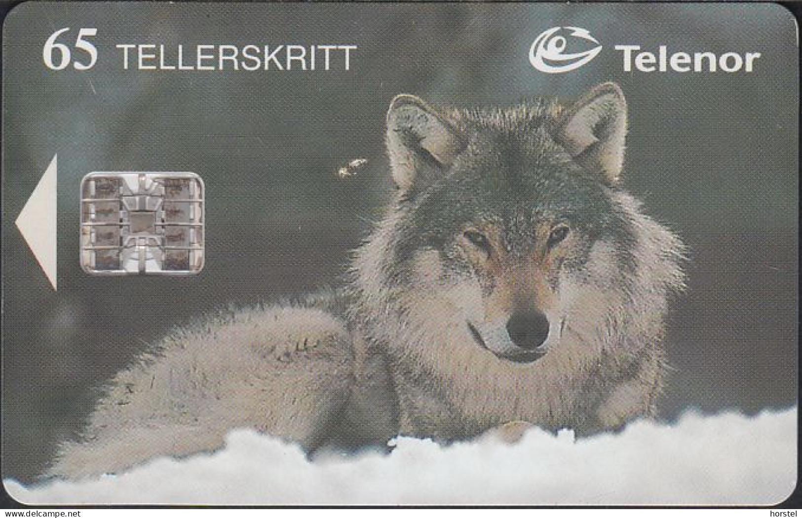 Norway - N113 Animal : Wolf - C83023291 - Norvège