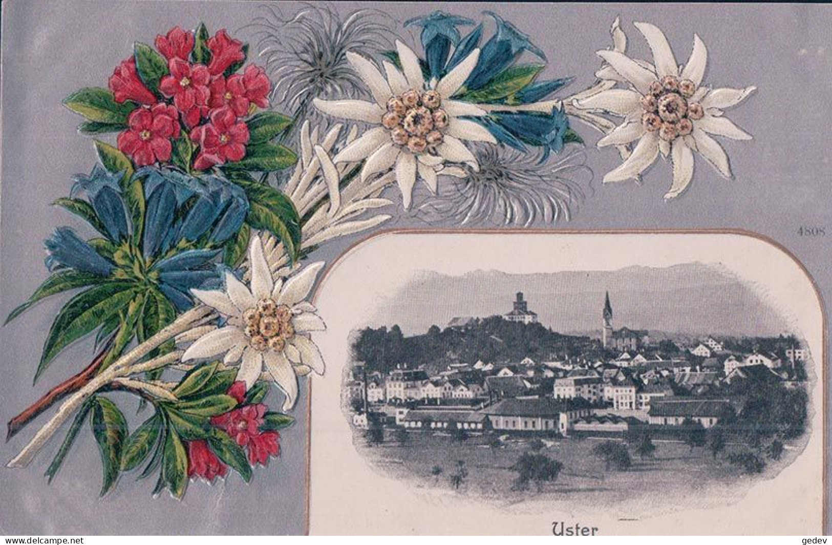 Uster ZH, Edelweiss Et Rhododendrons, Litho Gaufrée (14130) - Uster