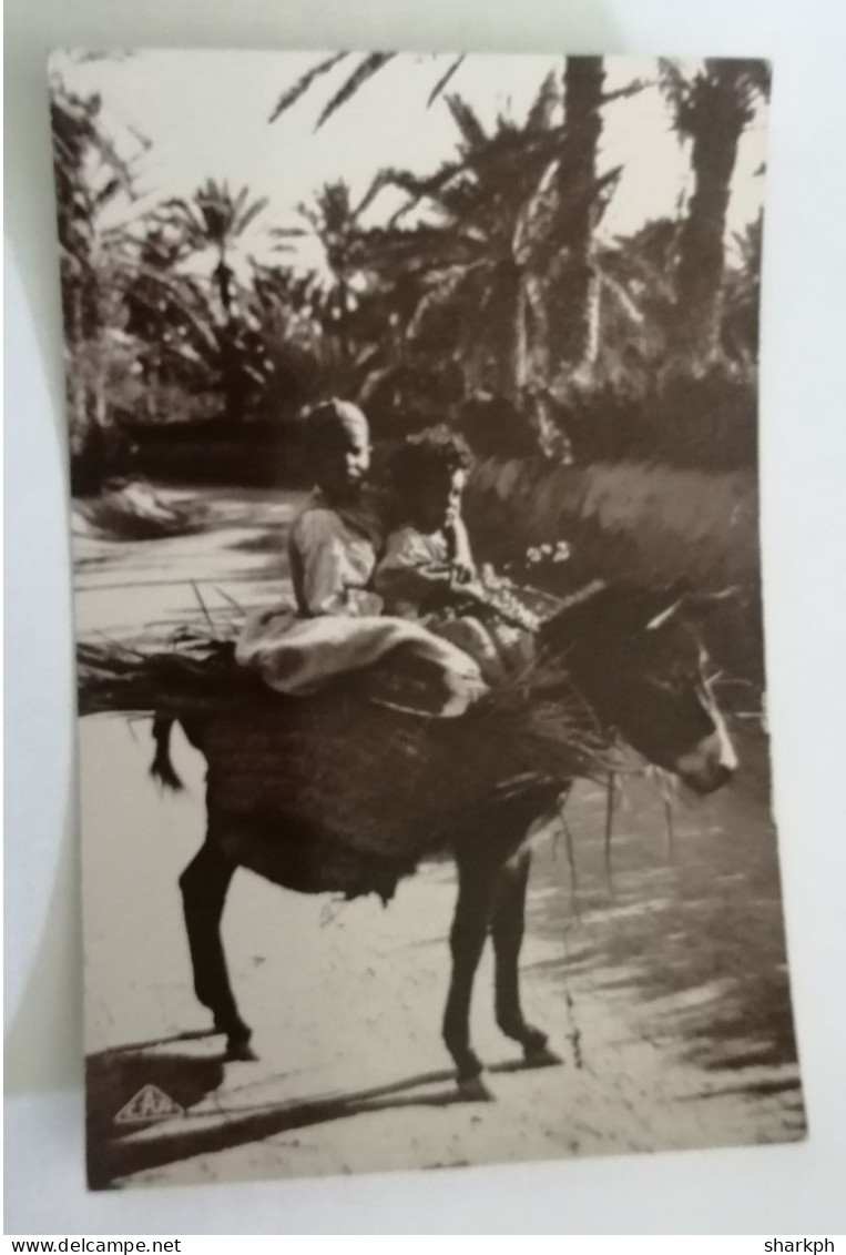 CARTE POSTALE ALGERIE " Enfants " - Niños