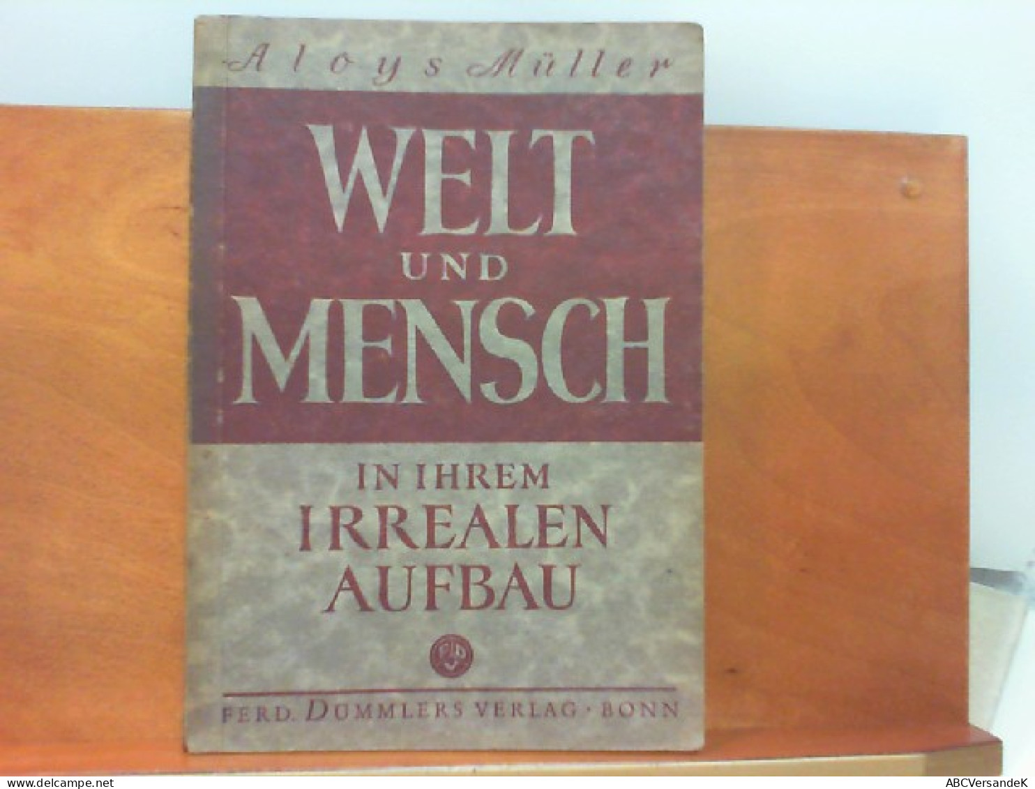 Welt Und Mensch In Ihrem Irrealen Aufbau - Eine Einführung In Die Philosophie - Philosophy