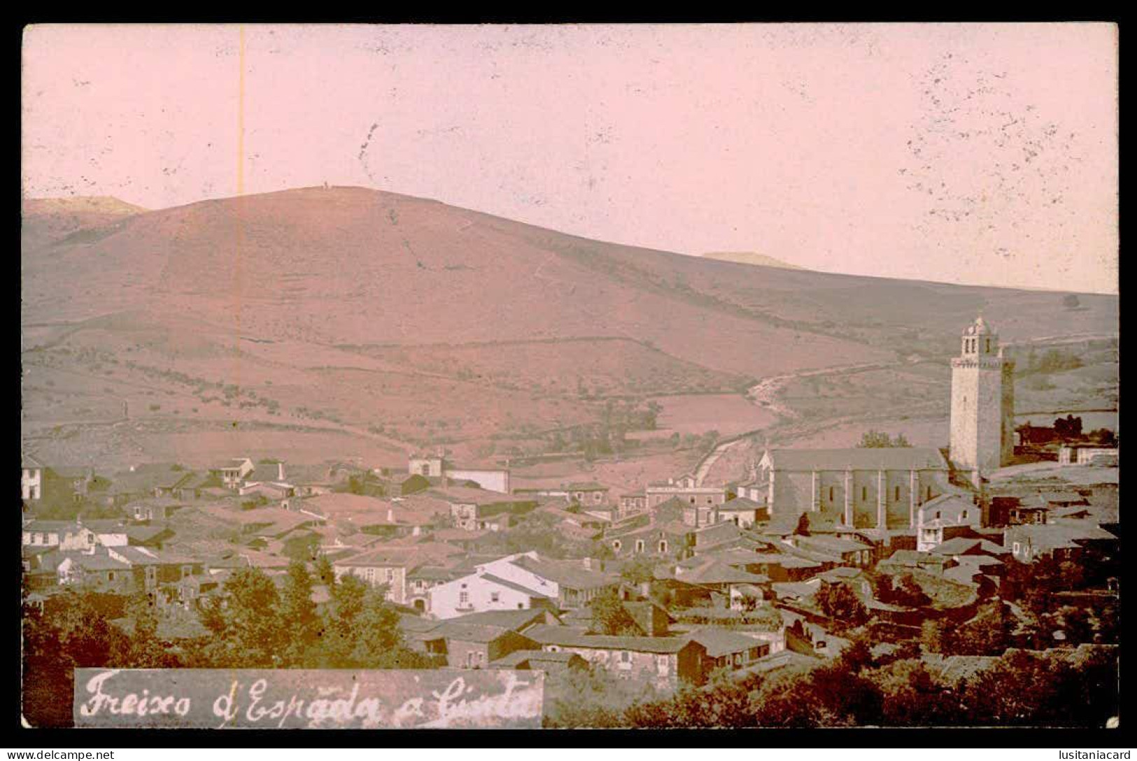 FREIXO DE ESPADA À CINTA -  Carte Postale - Bragança