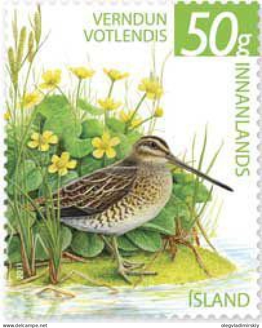 Iceland 2011 Definitives The Nature Conservancy Birds Gallinago Gallinago Stamp Mint - Nuevos