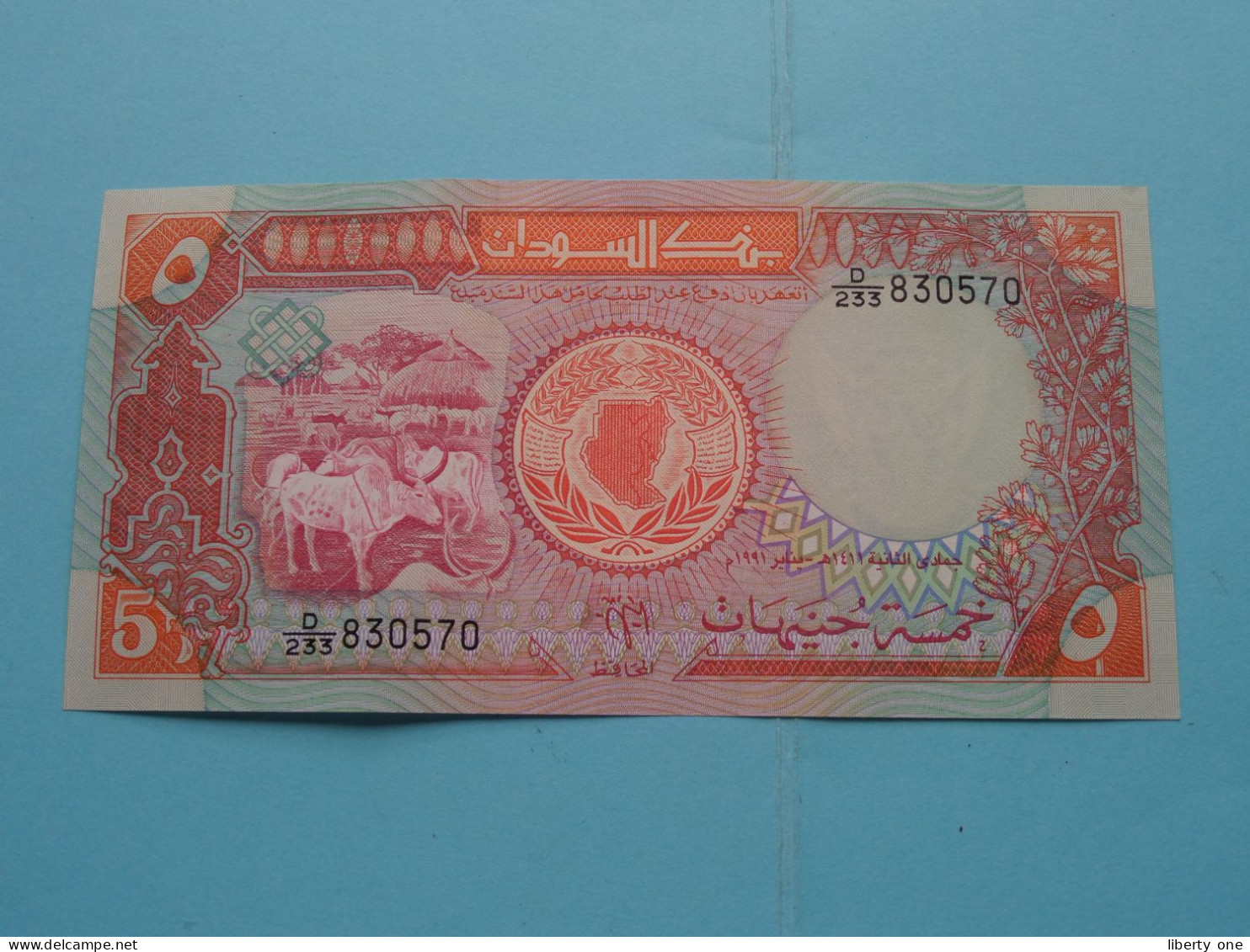 5 Sudanese Pounds ( D/233 830570 ) Bank Of SUDAN () 1991 ( For Grade See SCAN ) UNC ! - Sudan