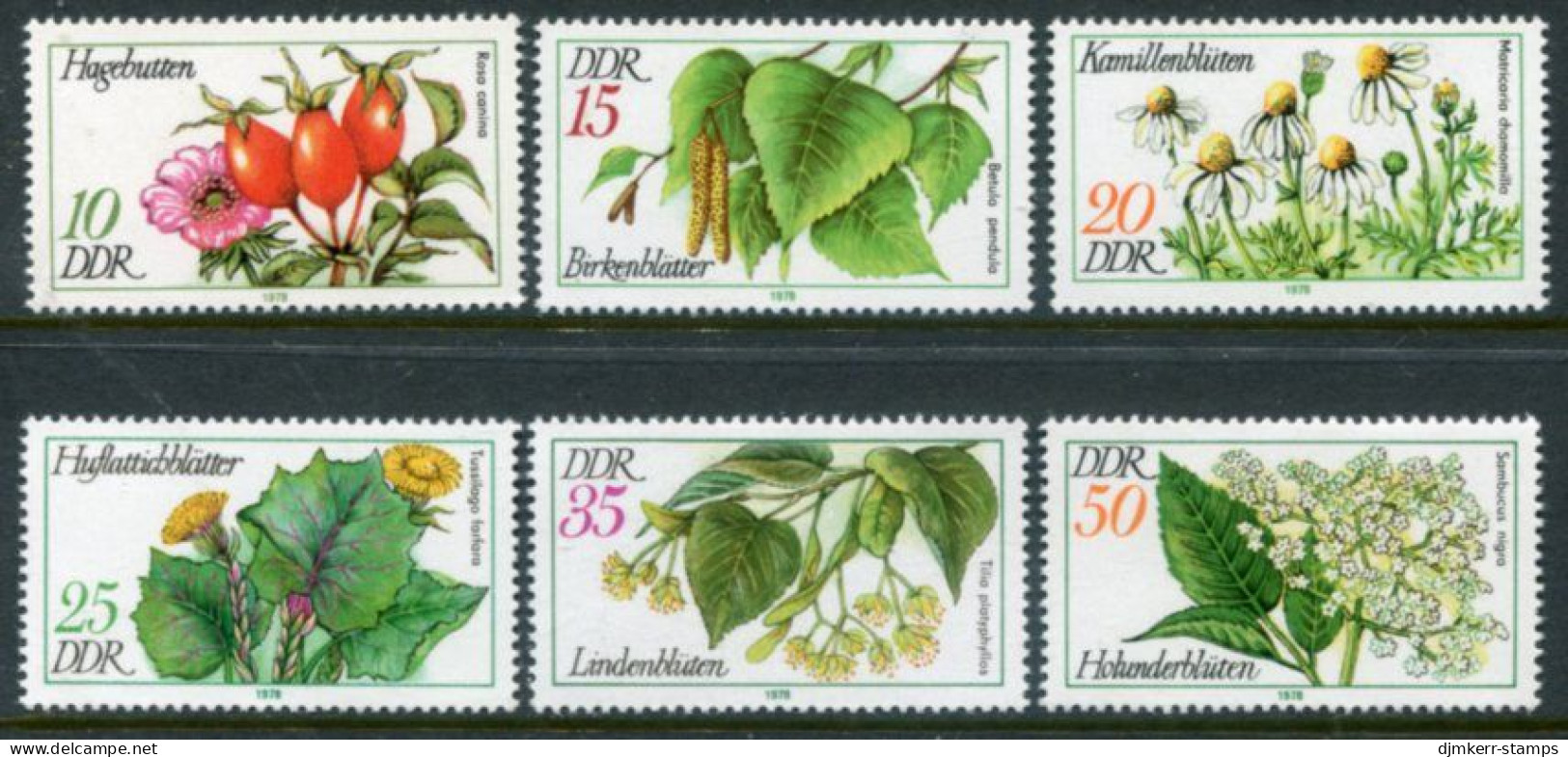 DDR / E. GERMANY 1978 Medicinal Plants MNH / **.  Michel 2287-92 - Unused Stamps