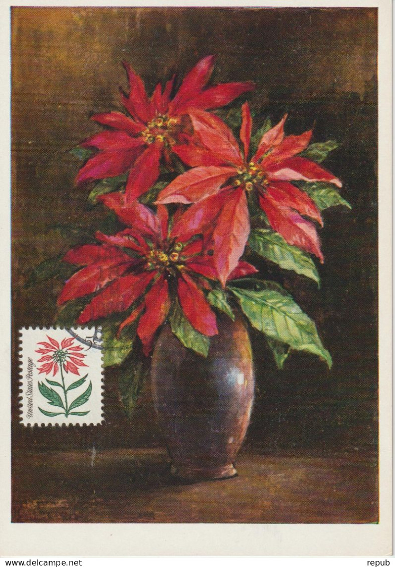 Etats-Unis Carte Maximum 1964 Poinsettia Noel 771 - Cartes-Maximum (CM)