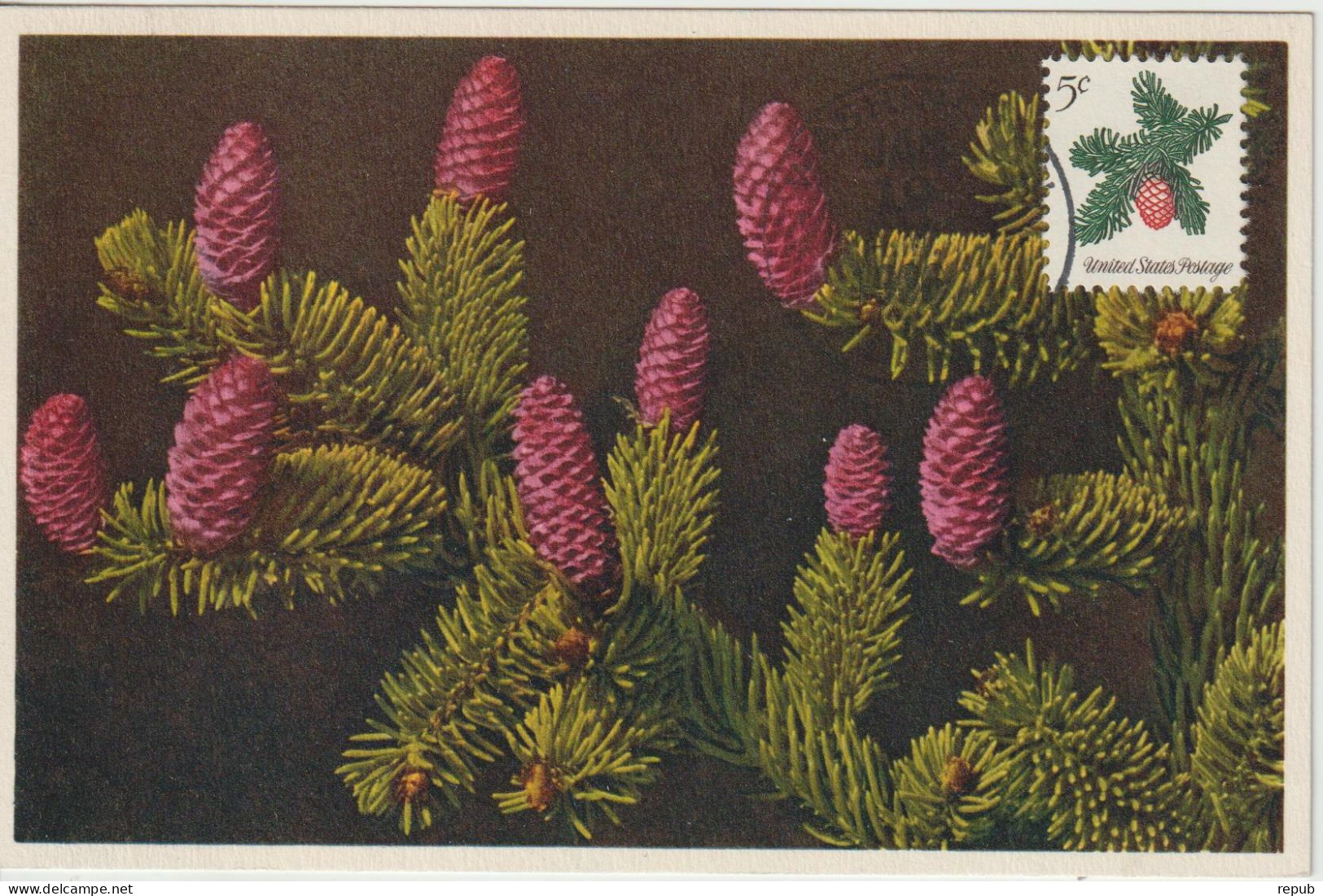 Etats-Unis Carte Maximum 1964 Pomme De Pin Noel 772 - Maximum Cards