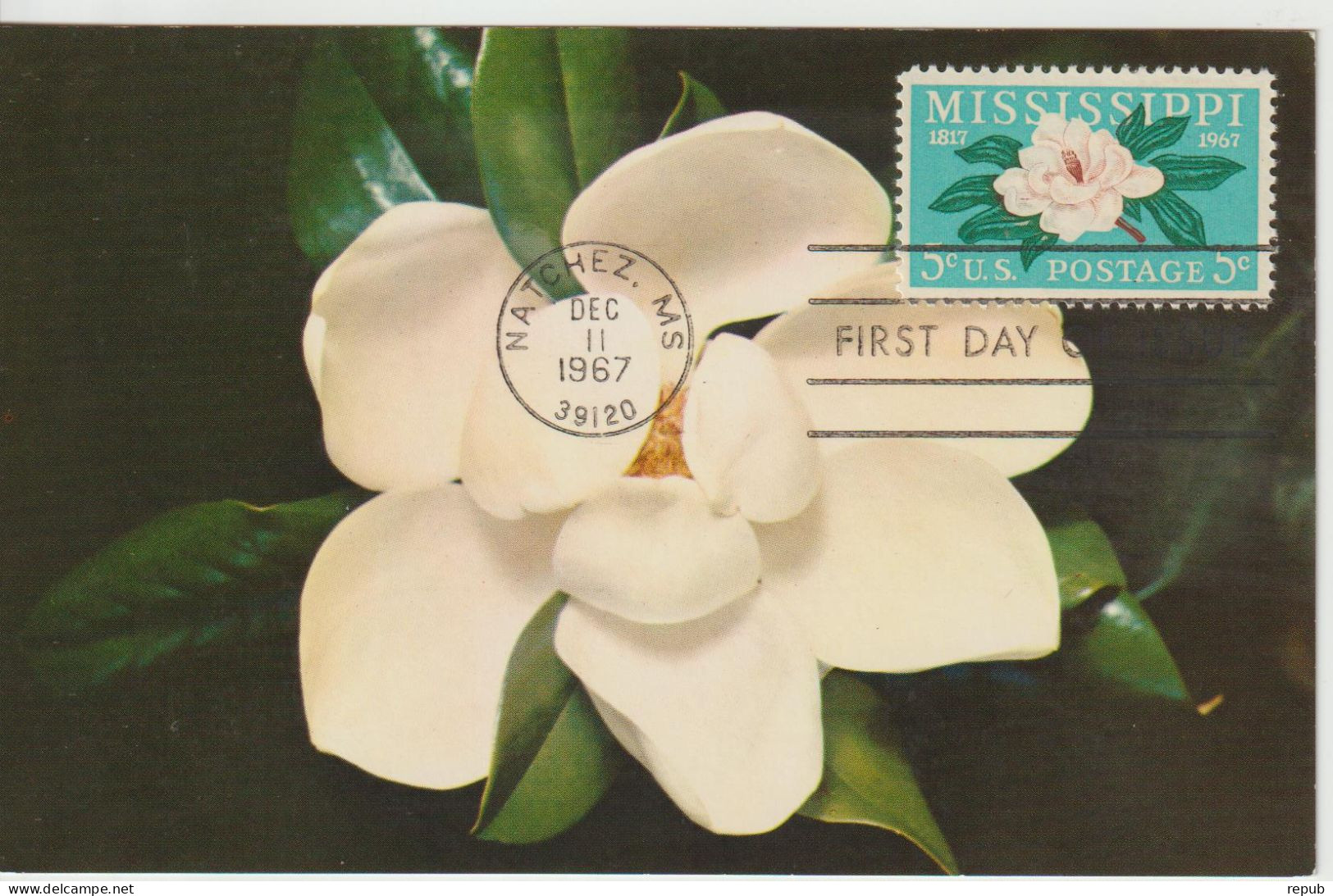 Etats-Unis Carte Maximum 1967 Magnolia Mississippi 841 - Cartes-Maximum (CM)