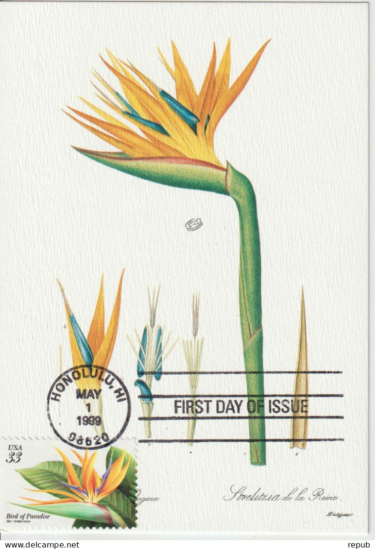 Etats-Unis Carte Maximum 1999 Fleurs Oiseau De Paradis 2884 - Cartoline Maximum