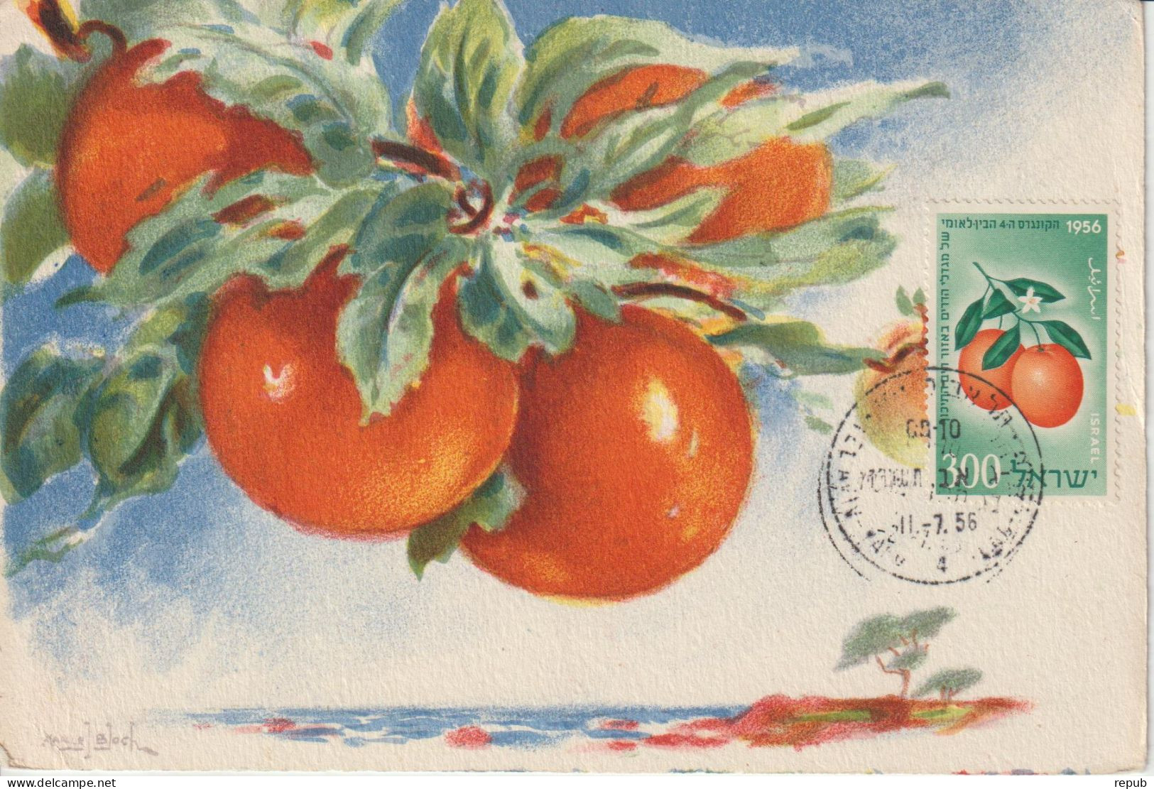 Israel Carte Maximum 1956 Oranges 112 - Cartoline Maximum