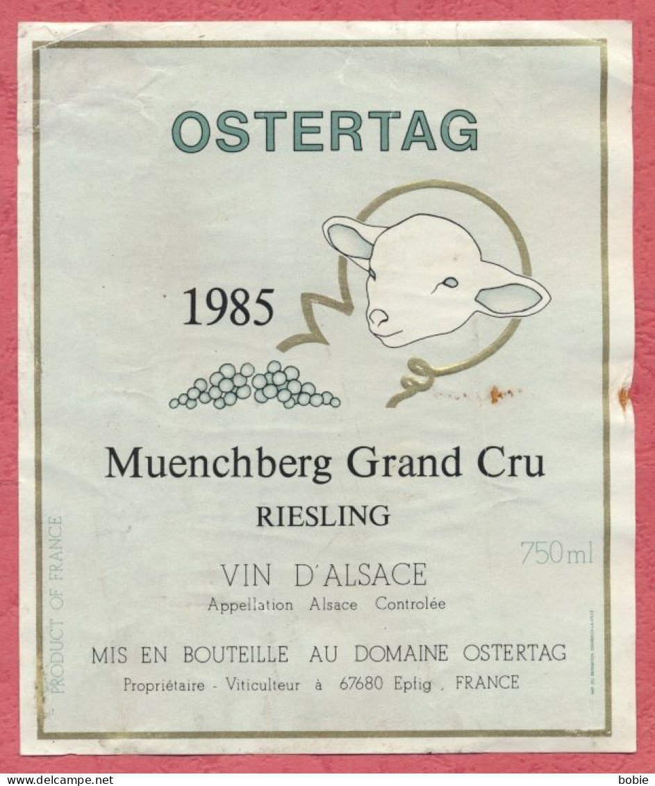 Etiquette Vin D'Alsace Ostertag " Muenchberg Grand Cru " 1985 - Domaine Ostertag Propriétaire Viticulteur Epfig. - Riesling