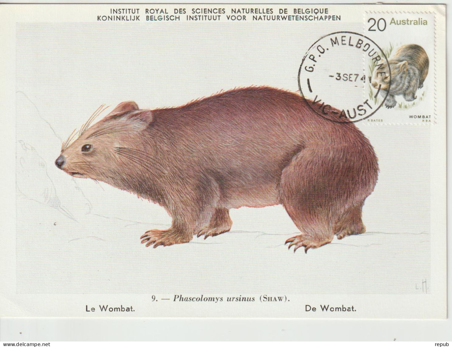 Australie Carte Maximum 1974 Wombat 527 - Maximum Cards