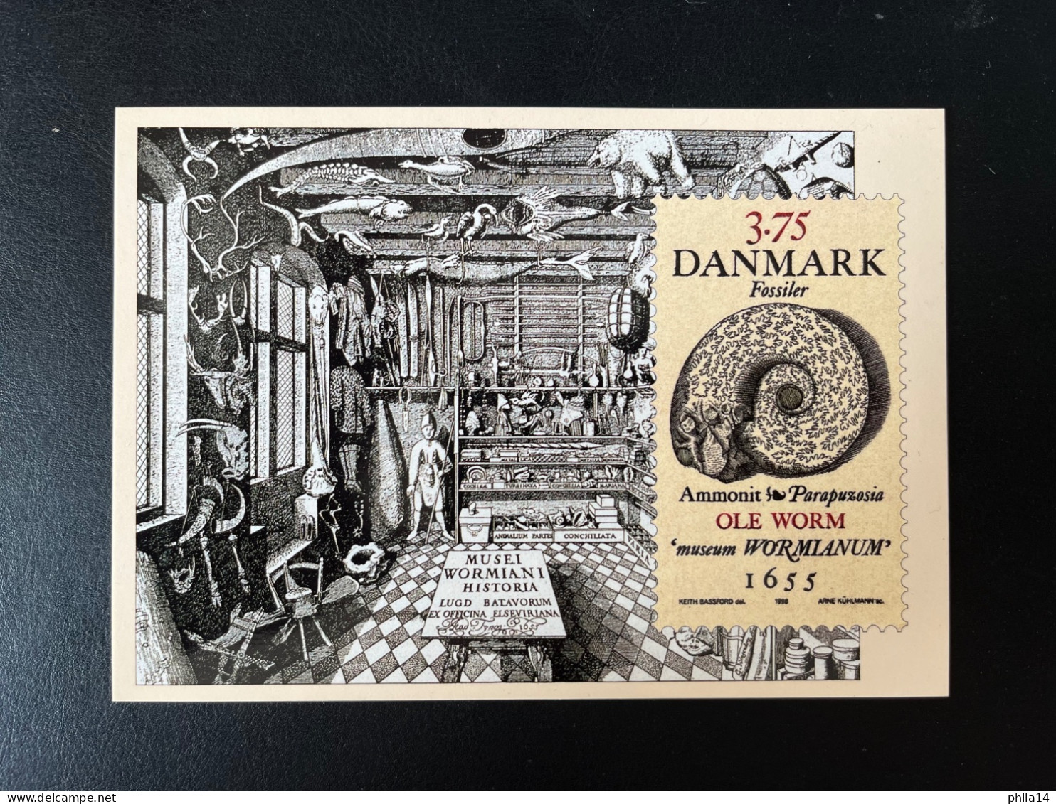 SP POST CARD DANMARK / AMMONIT PARAPUZIOSA OLE WORM 1655 / 1998 / NEUVE - Cartas & Documentos