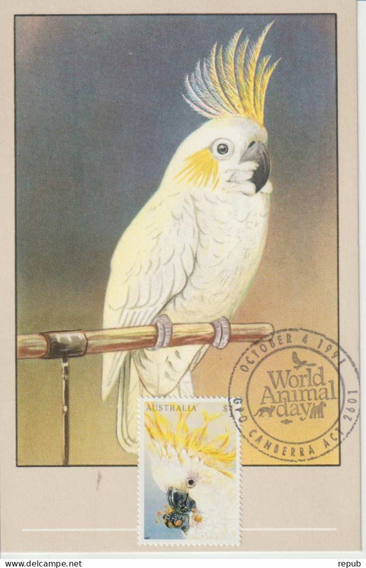 Australie Carte Maximum 1990 Oiseaux Cacatoès 1218 - Maximum Cards