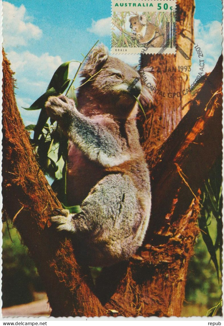 Australie Carte Maximum 1992 Koala 1273 - Cartes-Maximum (CM)