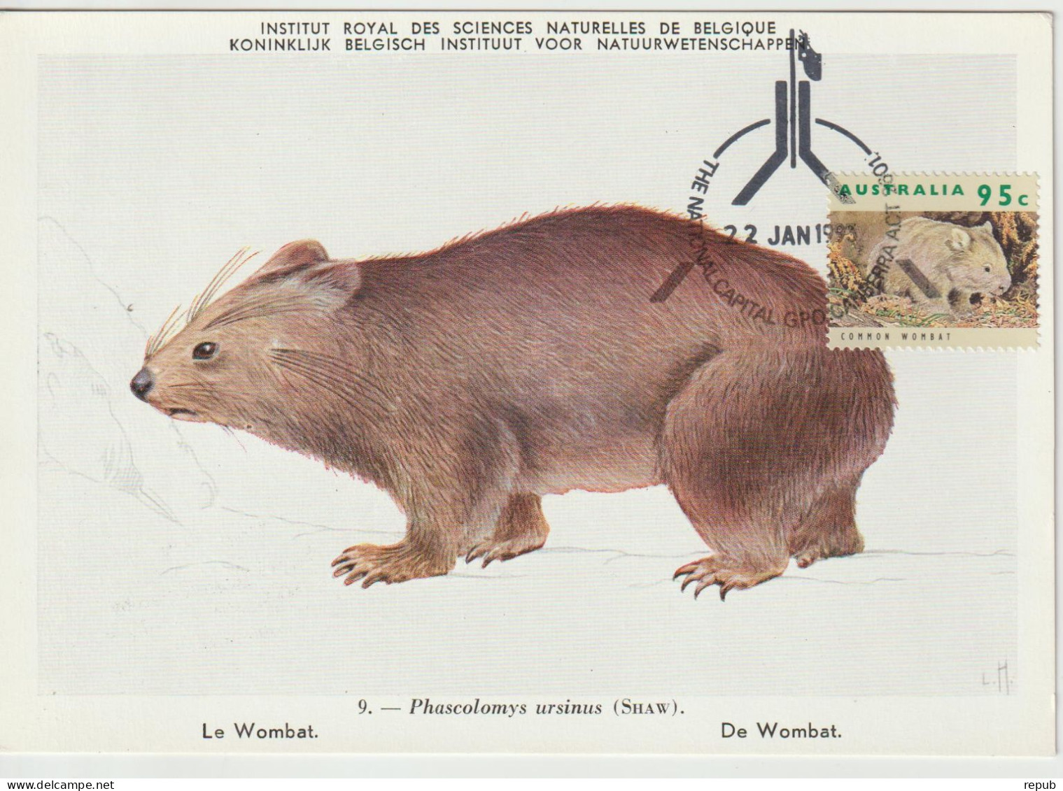 Australie Carte Maximum 1992 Wombat 1275 - Cartas Máxima