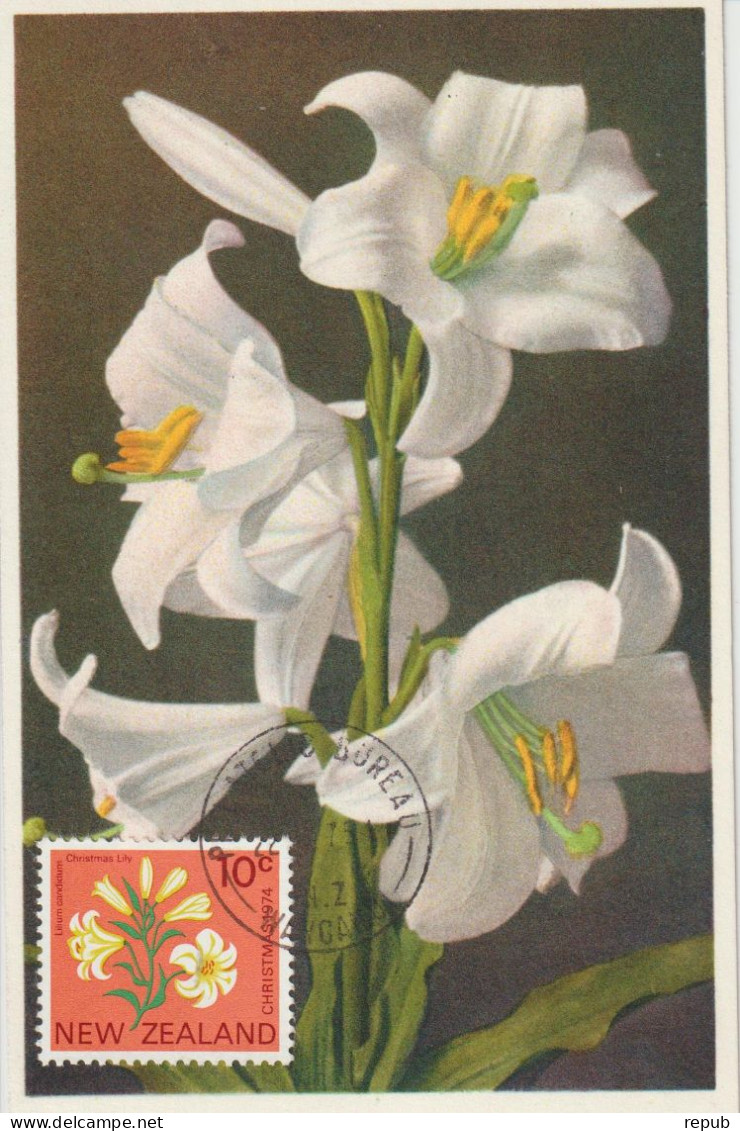 Nouvelle Zélande Carte Maximum 1974 Fleurs Lys 620 - Storia Postale