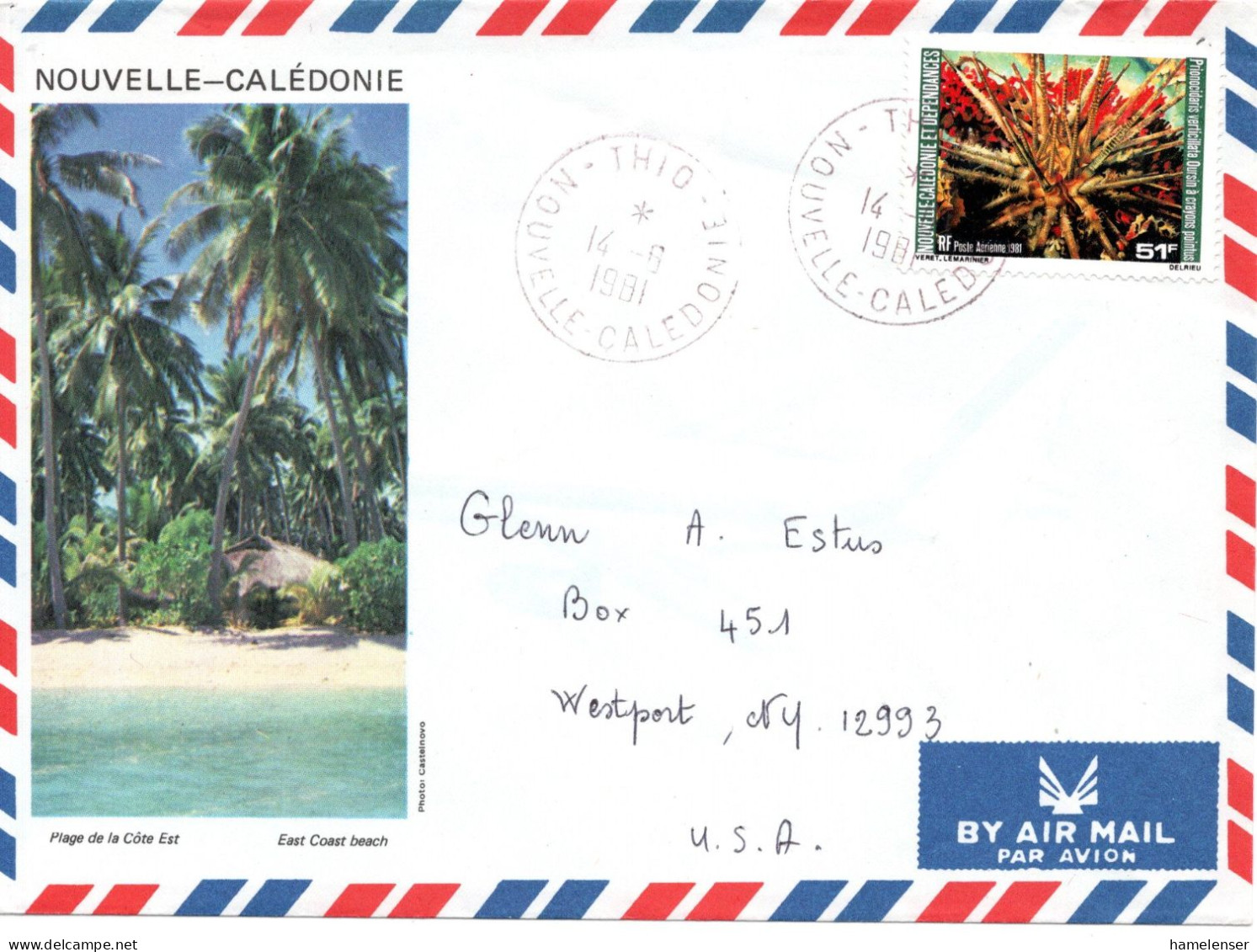 68222 - Neukaledonien - 1981 - 51F Seeigel EF A LpBf THIO -> Westport, NY (USA) - Meereswelt