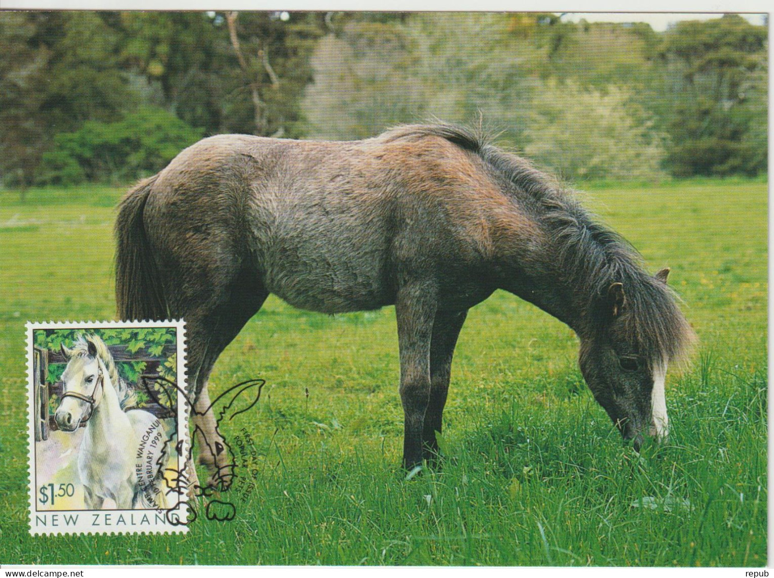 Nouvelle Zélande Carte Maximum 1999 Poney 1684 - Cartas & Documentos