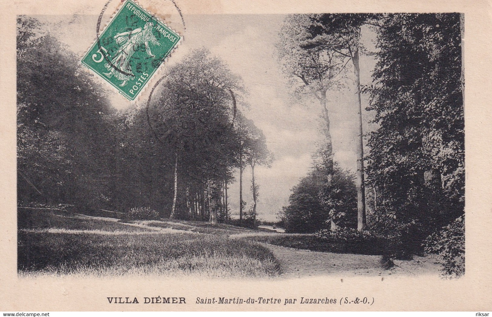 SAINT MARTIN DU TERTRE(ARBRE) - Saint-Martin-du-Tertre