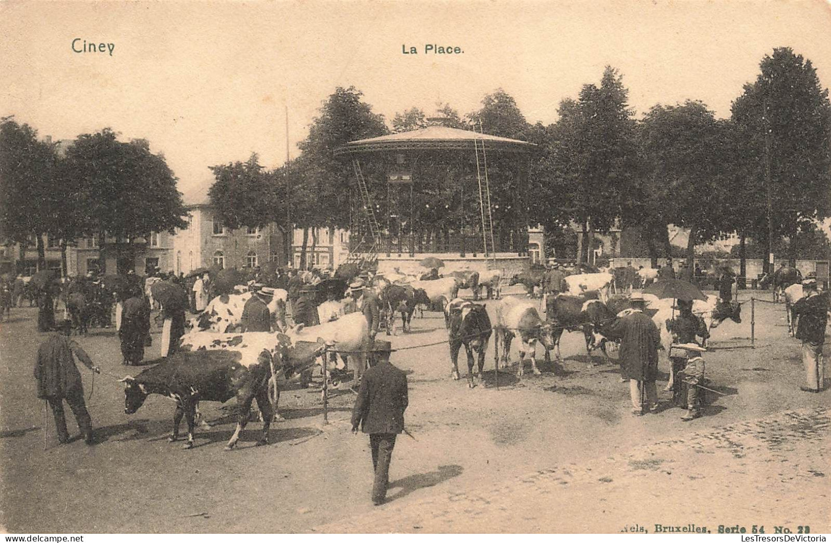 Belgique - Ciney - La Place - Animé - Nels - Kiosque - Vaches  - Carte Postale Ancienne - Dinant
