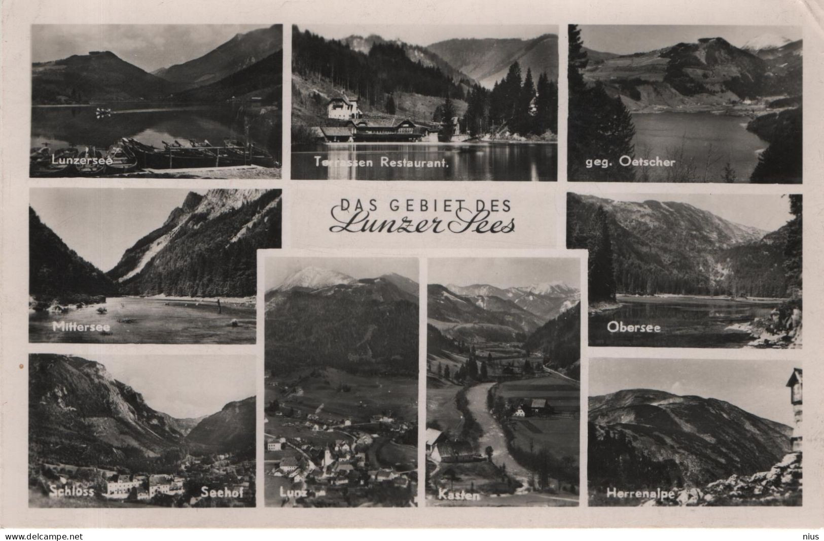 Austria Österreich 1954 Das Gebiet Des Lunzer Lunz Am See Sees - Lunz Am See