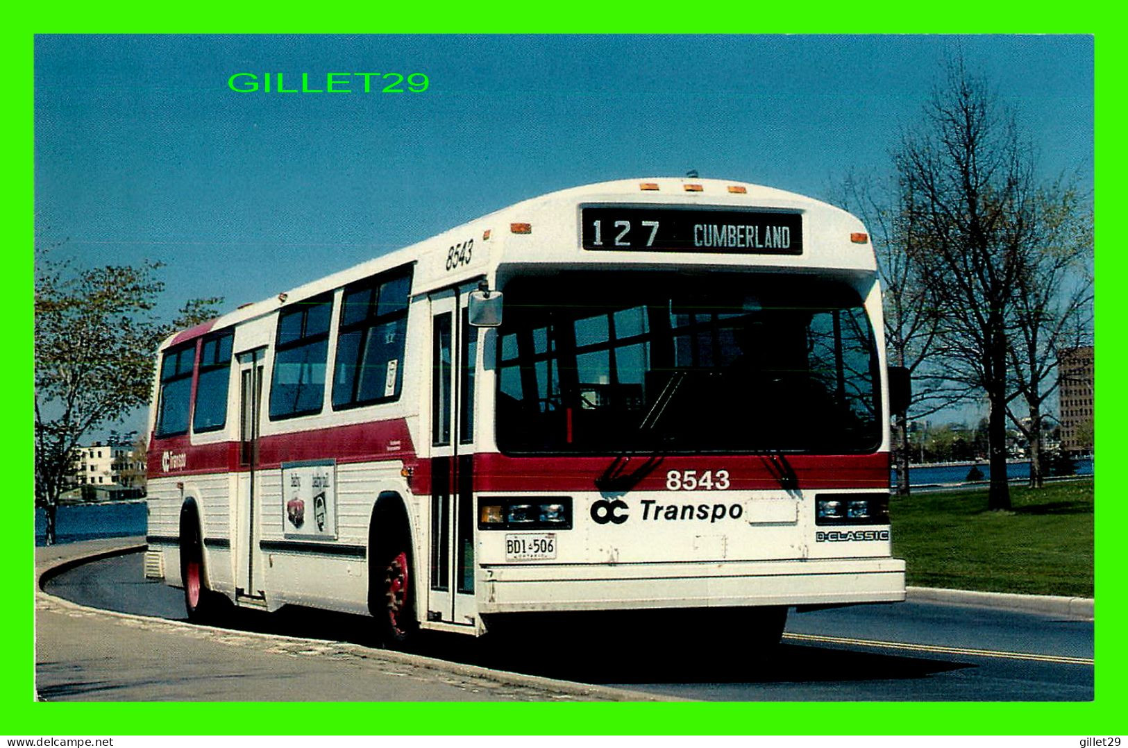 BUS - AUTOBUS -  OC TRANSPO BUS No 8543 - GENERAL MOTORS TC-40102N CLASSIC DELIVERED IN 1985 - JBC VISUALS - - Bus & Autocars