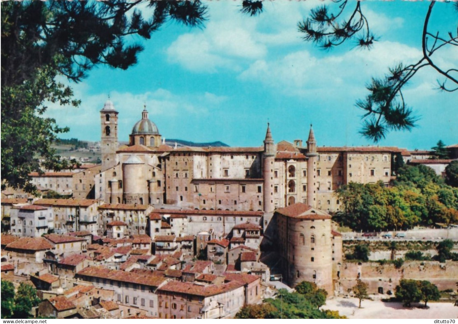 Urbino - Panorama - 10 - Formato Grande Non Viaggiata – FE390 - Urbino