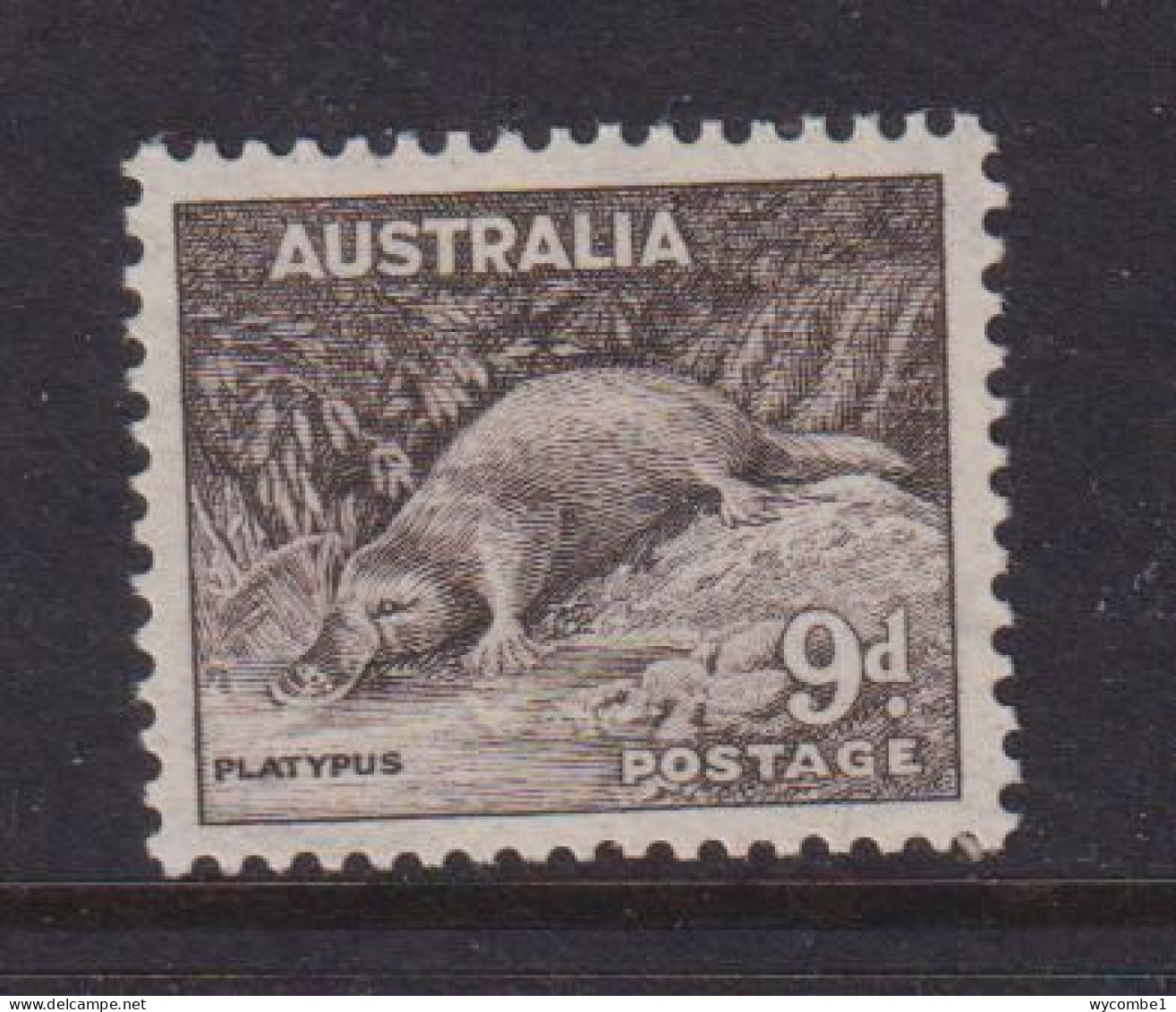 AUSTRALIA - 1943 Platypus 9d  Never Hinged Mint - Nuevos