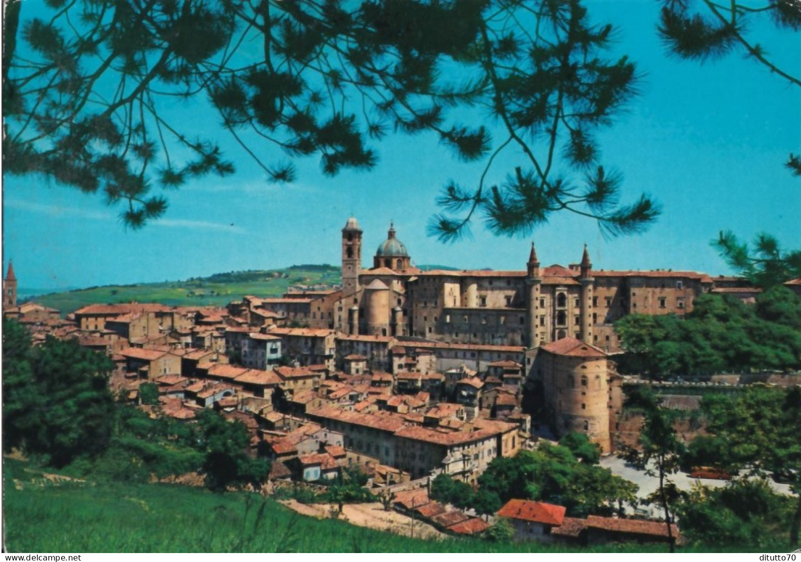 Urbino - Panorama - 62 - Formato Grande Viaggiata – FE390 - Urbino