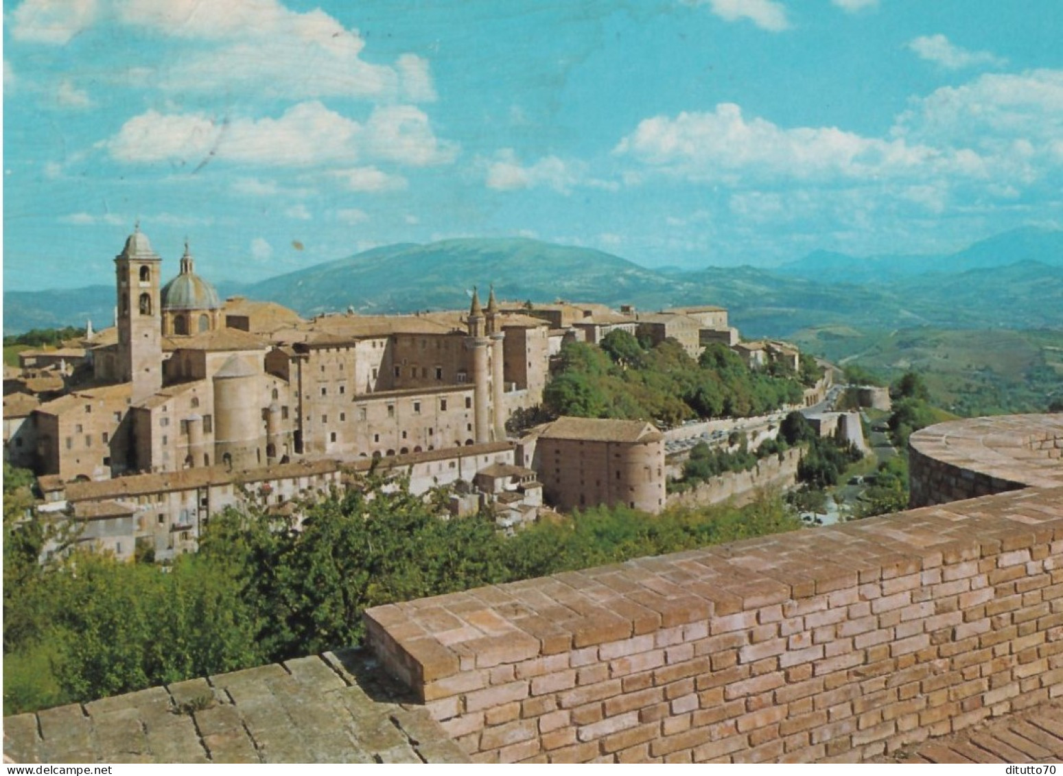 Urbino - Panorama - 72 - Formato Grande Non Viaggiata – FE390 - Urbino