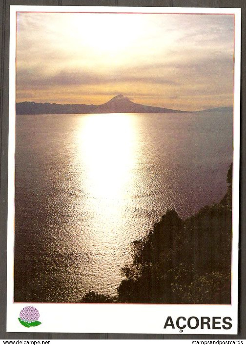 Portugal Entier Postal Açores Ile Vulcanique Du Pico Azores Postal Stationery Pico Vulcanic Island - Volcanes