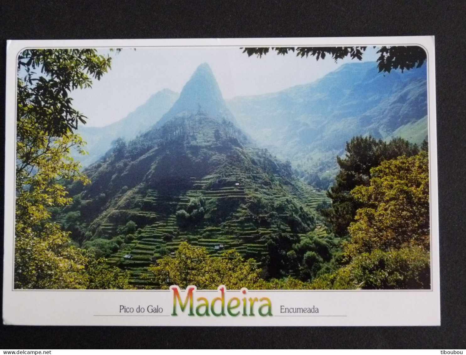 PORTUGAL AVEC YT 3187 PRESIDENCE CONSEIL UNION EUROPEENNE - MADEIRE MADEIRA PICO DO GALO ENCUMEADA - Storia Postale