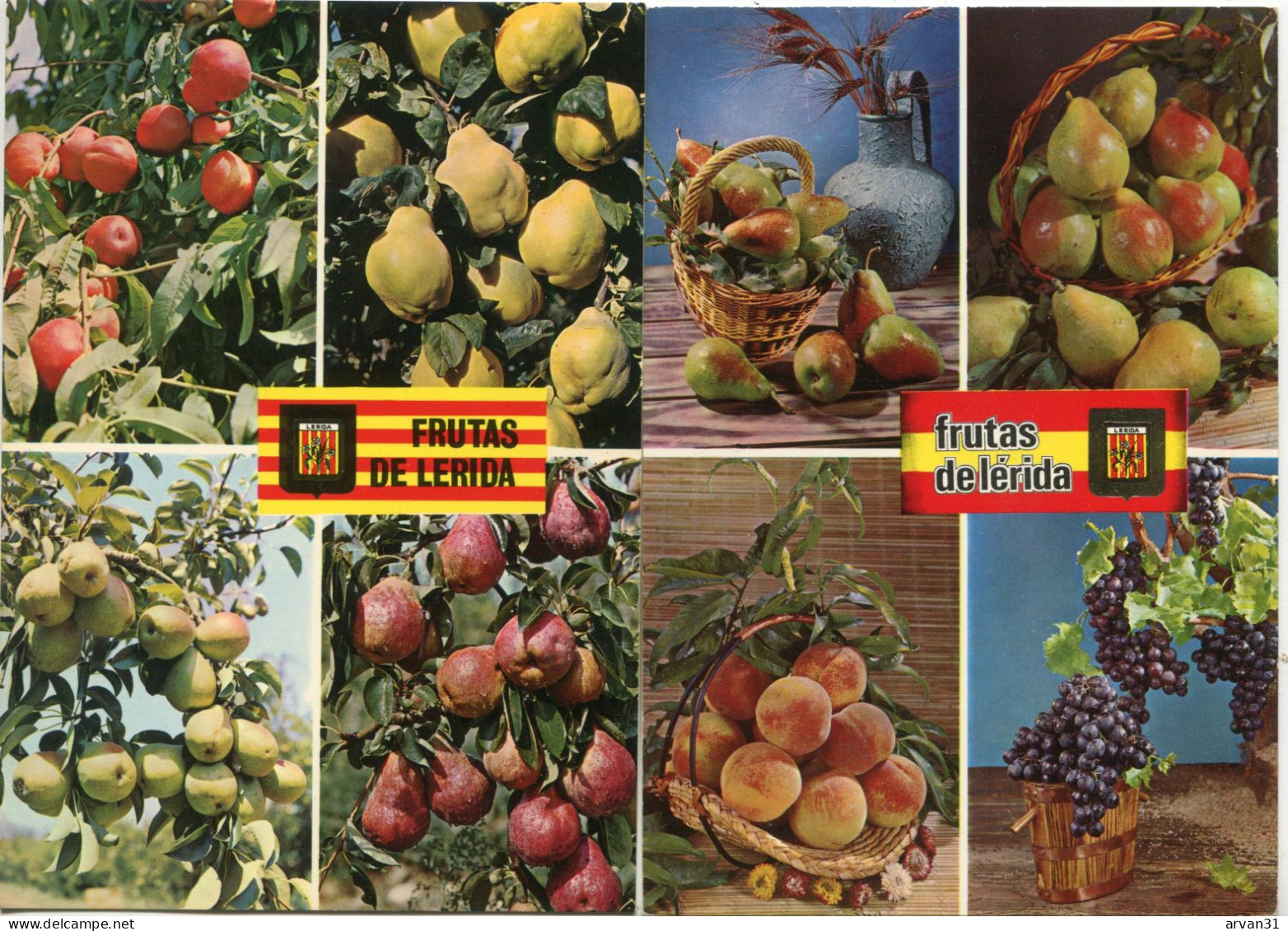 L E R I D A   -- FRUTAS De LERIDA - LOTE De 2 POSTALES  - - Lérida