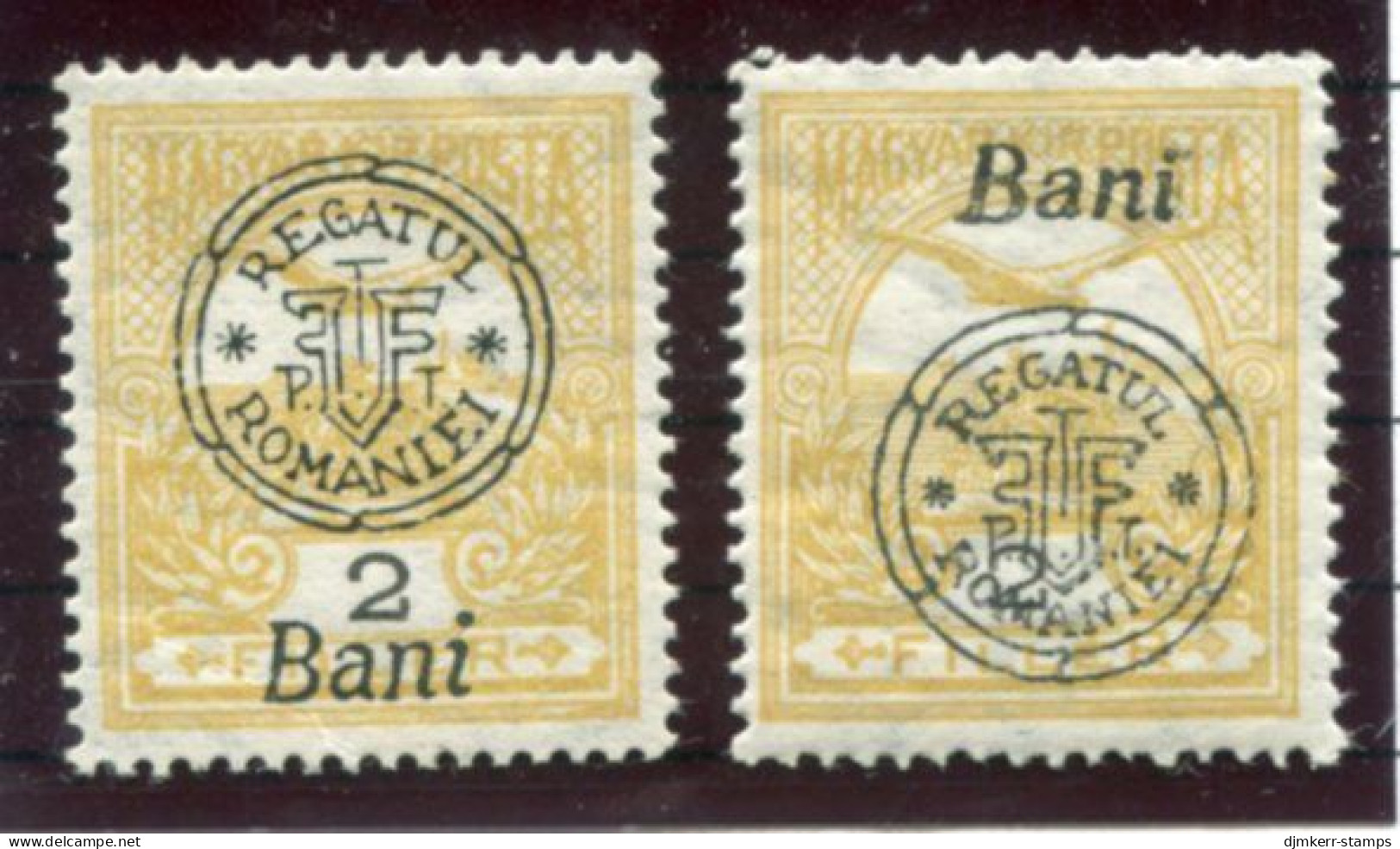 TRANSYLVANIA 1919 Overprint Type II On Turul 2 F. Normal And Misplaced Overprint  MNH / **.  Michel 13 II - Transilvania