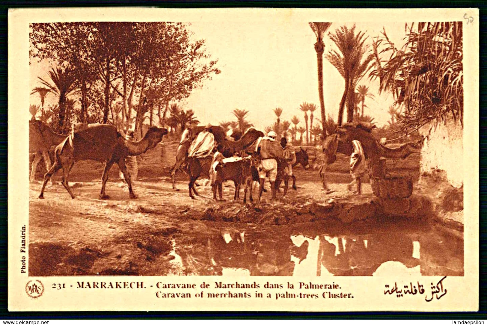 A63 MAROC CPA  MARRAKECH - CARAVANE DE MARCHANDS DANS LA PALMERAIE - Collections & Lots