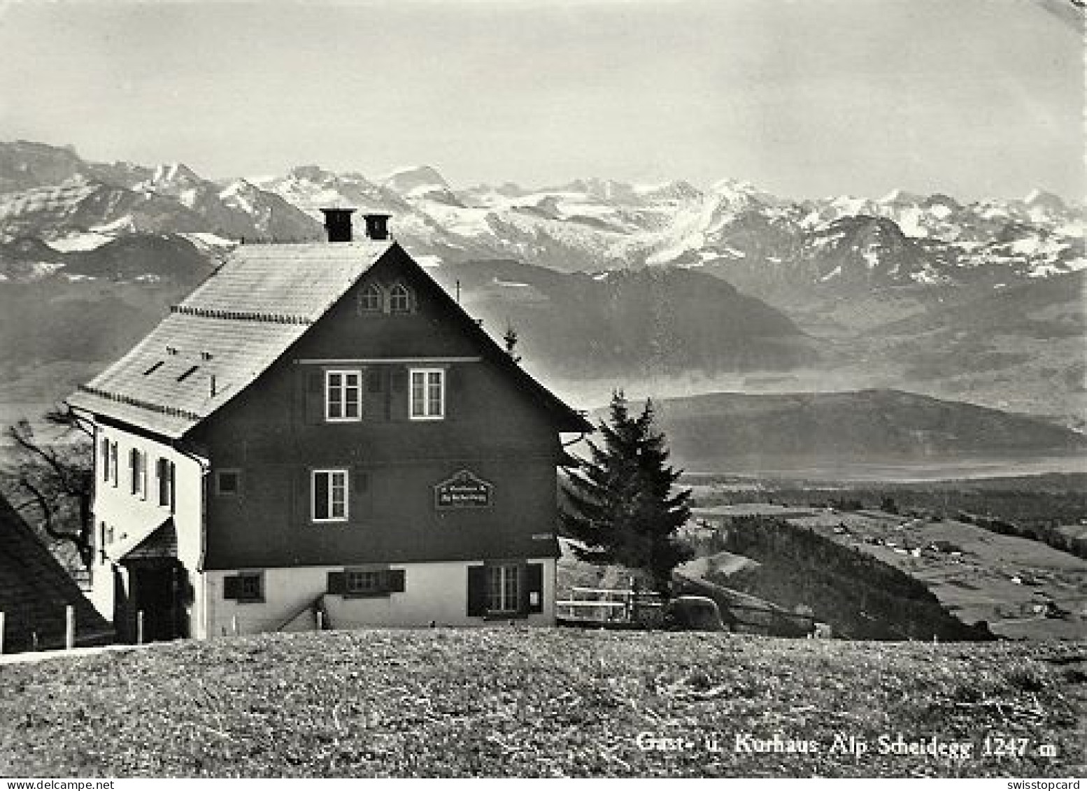 WALD Gast- U. Kurhaus Alp Scheidegg - Egg