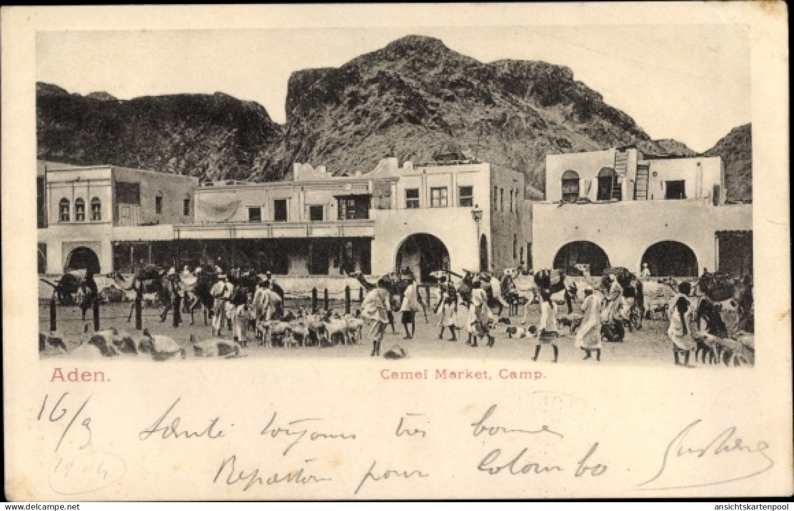 CPA Aden Jemen, Camel Market, Camp - Yémen