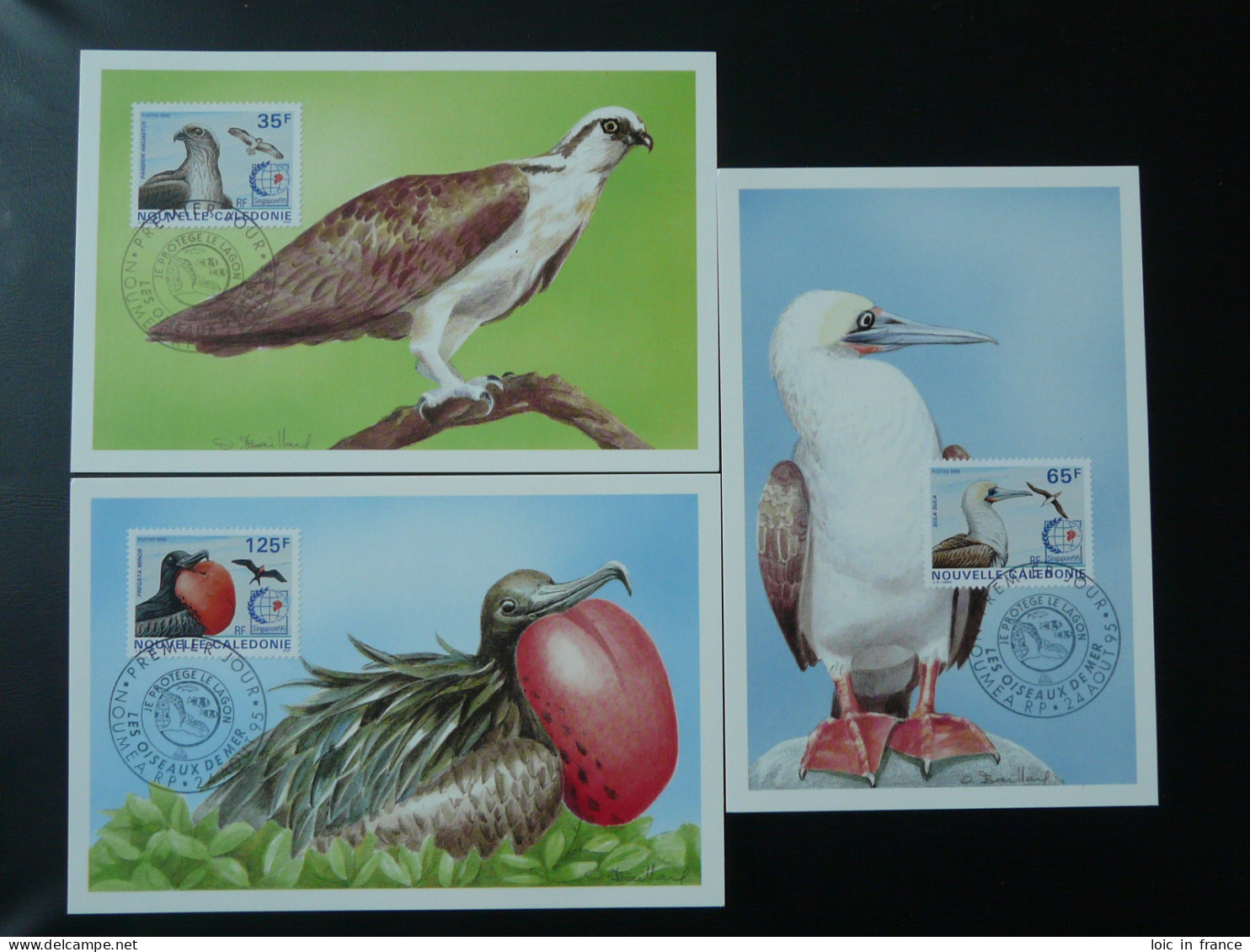 Cartes Maximum Cards (série De 6 Set Of 6) Oiseaux Birds Singapore 1995 Nouvelle Caledonie Ref 102166 - Cartes-maximum