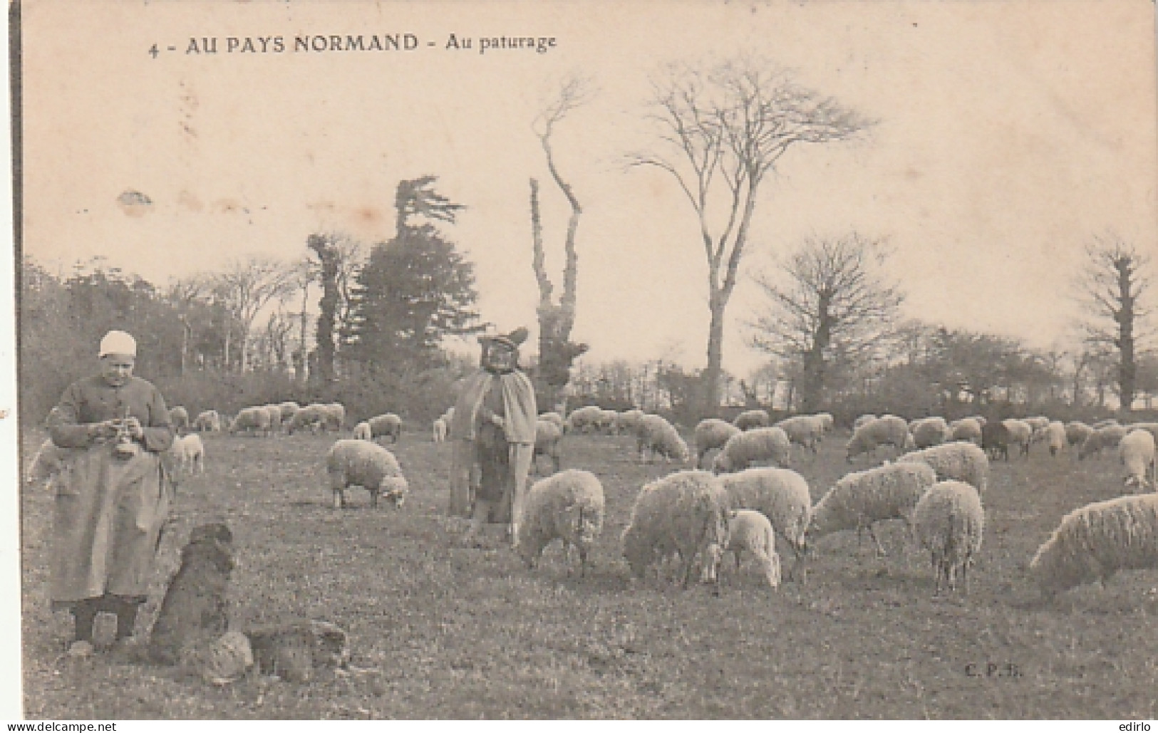 *** ELEVAGE  ***   Au Pays Normand Au Pâturage Timbrée TTBE  - Allevamenti