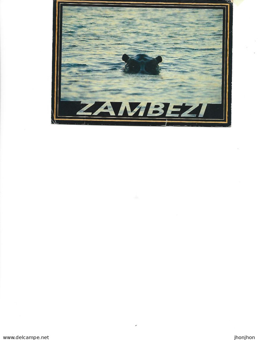 Zimbabwe  - Postcard Used 1995 -  The Hippopotamus   2/scsns - Zimbabwe