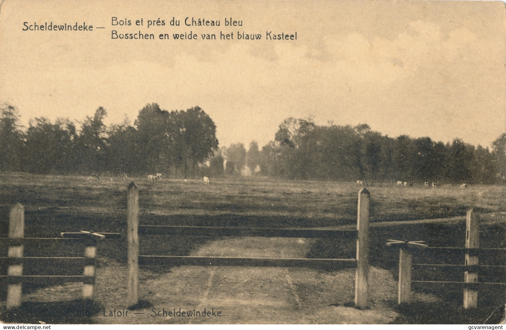 SCHELDEWINDEKE    BOSSCHEN EN WEIDE VAN HET BLAUW KASTEEL        2 SCANS - Oosterzele