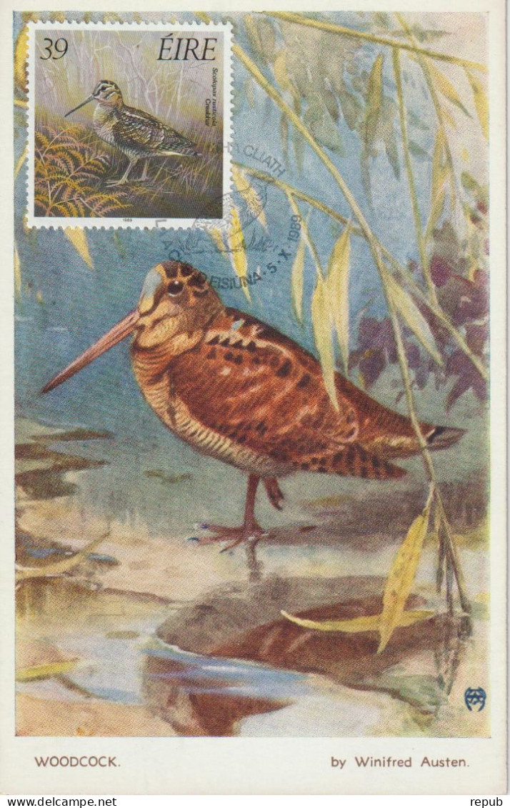 Irlande Carte Maximum 1989 Oiseaux Bécasse 695 - Tarjetas – Máxima