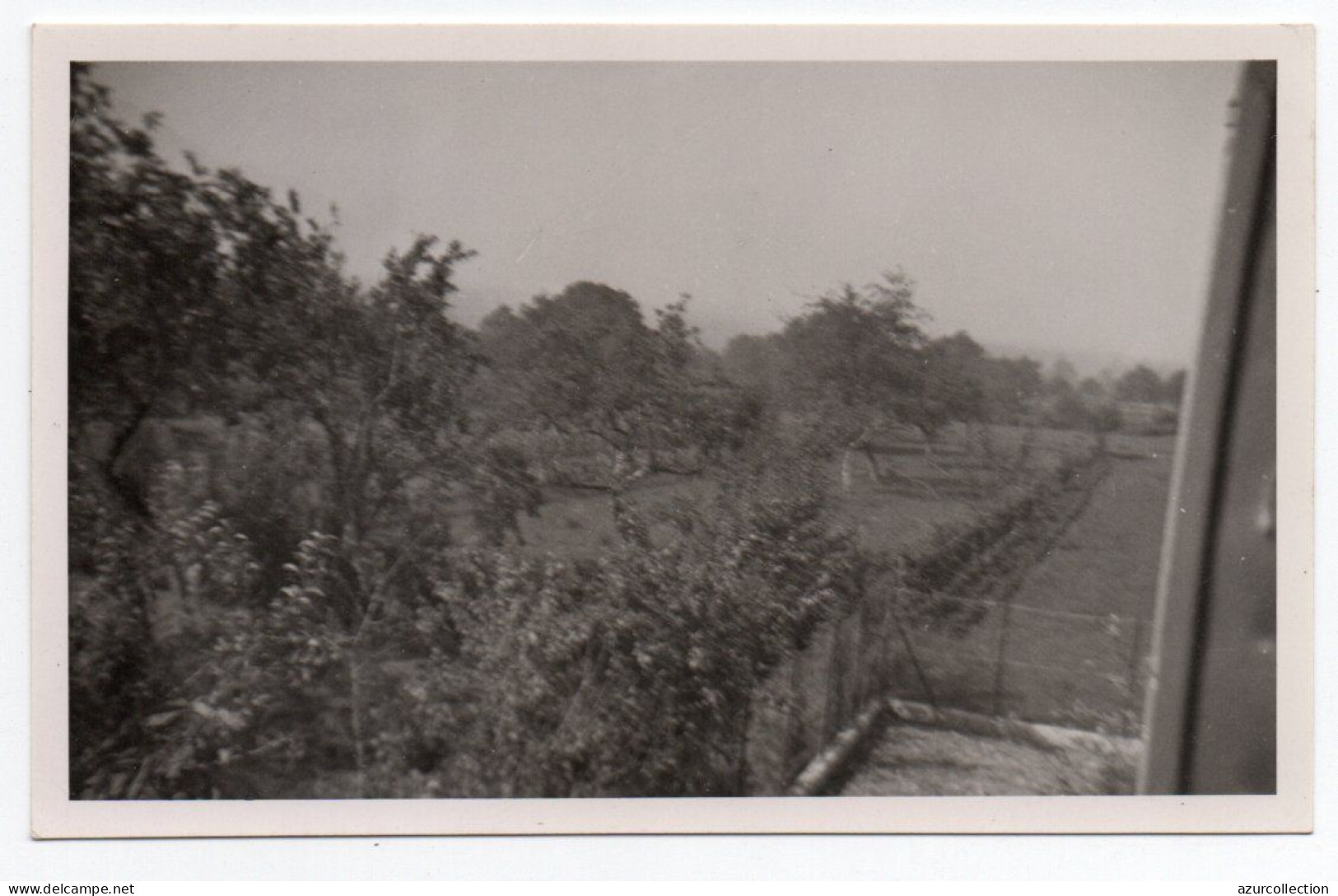 La Bacholette. La Prairie. Carte Photo - Gresy Sur Isere