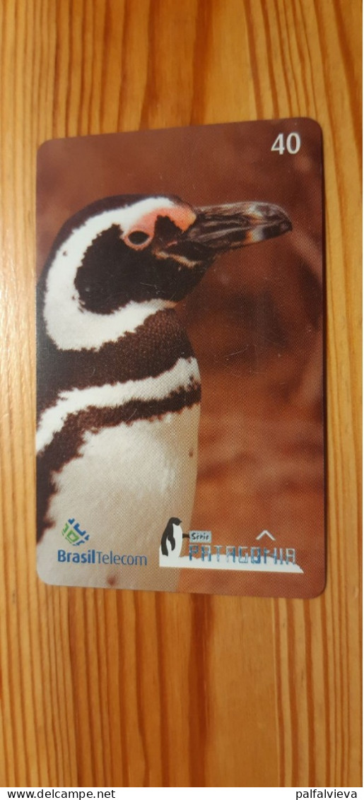 Phonecard Brazil - Penguin - Brasilien