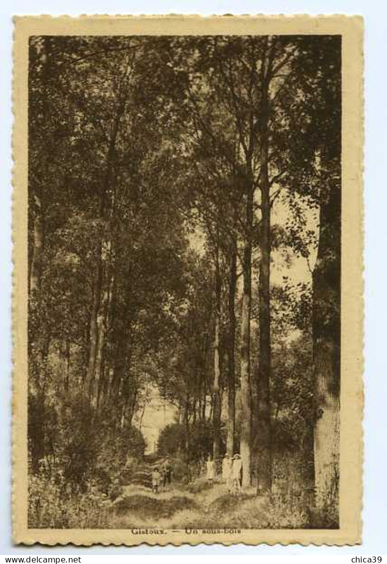 011756  -  GISTOUX  -  Un Sous-bois - Chaumont-Gistoux