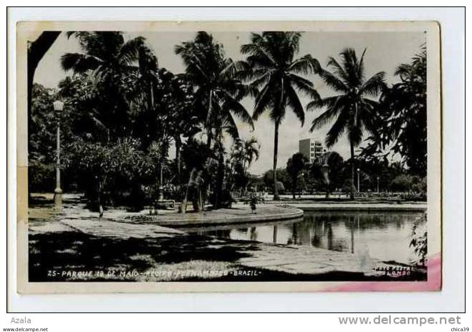 014331  -  RECIFE Pernambuco Parque De Maio   Carte Photo - Recife