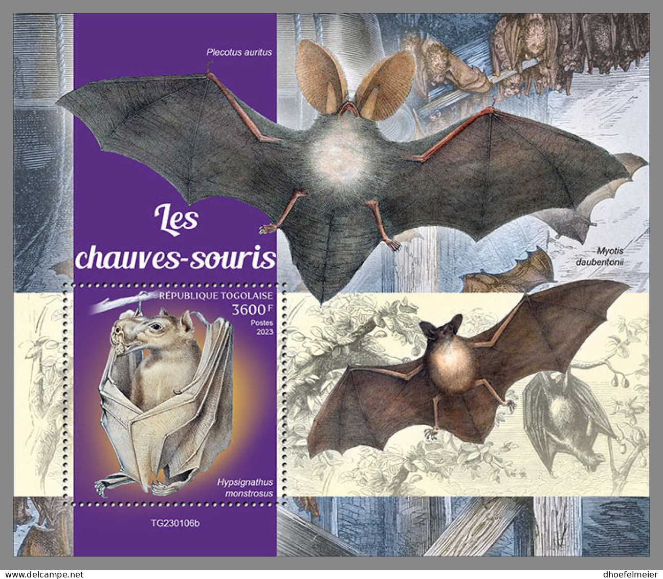 TOGO 2023 MNH Bats Fledermäuse Chauve-souris S/S - IMPERFORATED - DHQ2329 - Bats