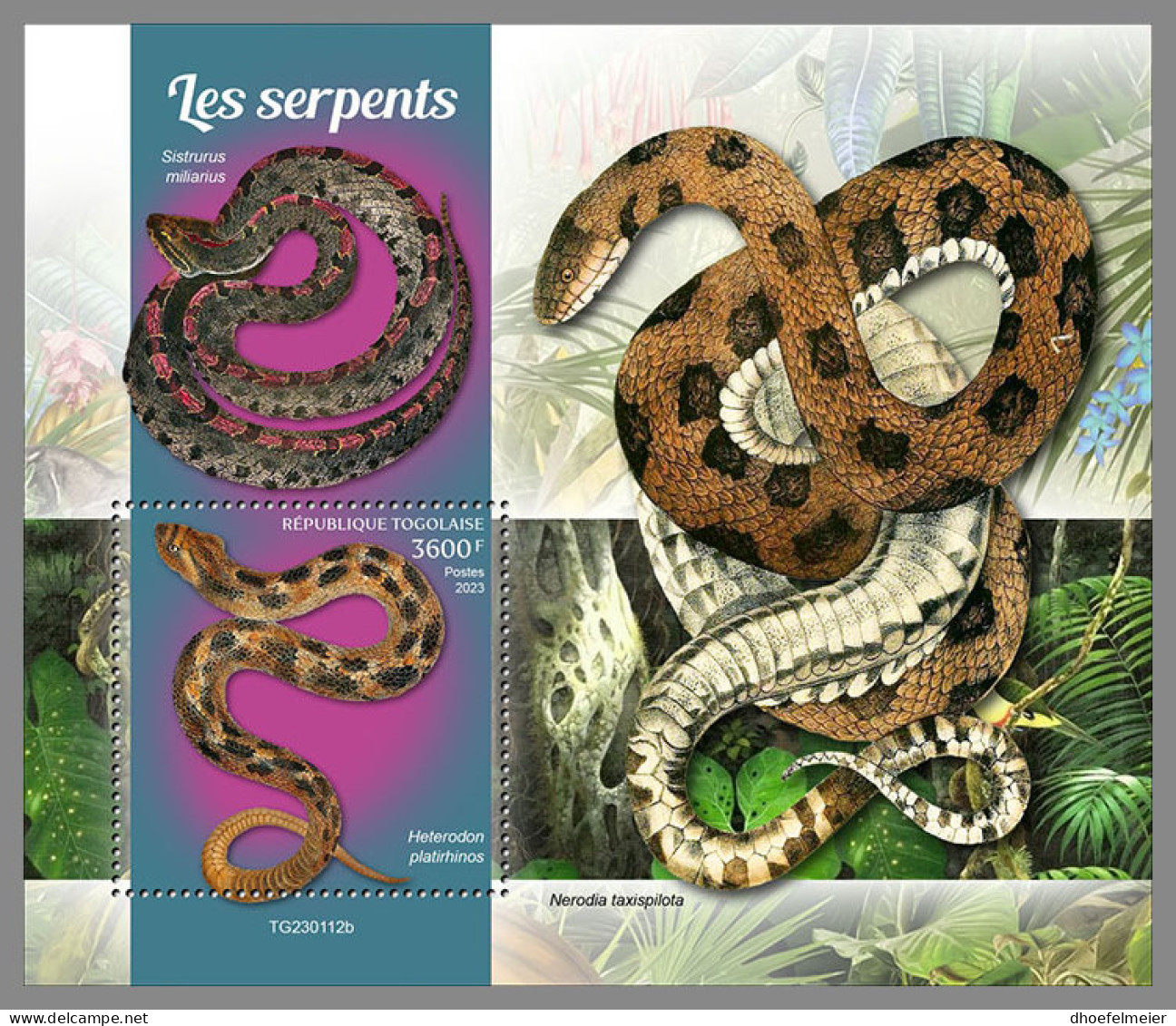 TOGO 2023 MNH Snakes Schlangen Serpents S/S - IMPERFORATED - DHQ2329 - Serpents